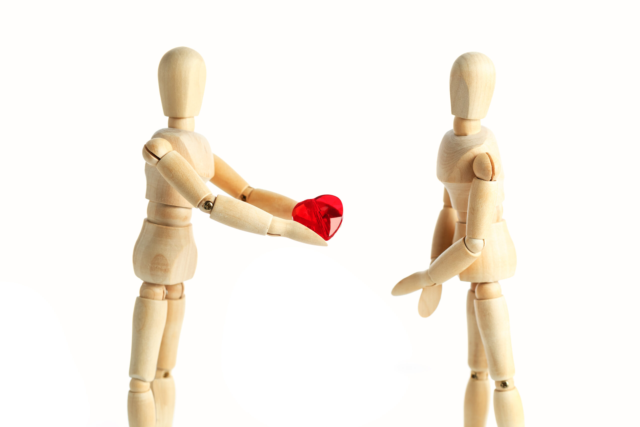 Two wooden figures of a dummy, give a red heart, isolated on a white background - pictures of the theme concepts Love and Valentine's Day. synonymous expression - I give you my heart