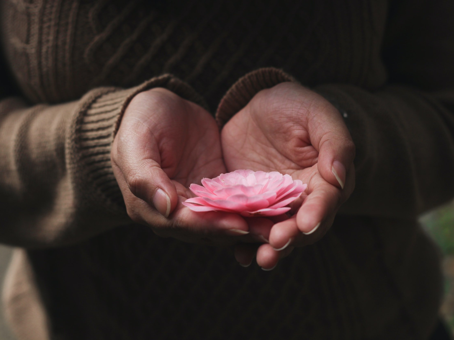 Self Compassion: Focusing Technique